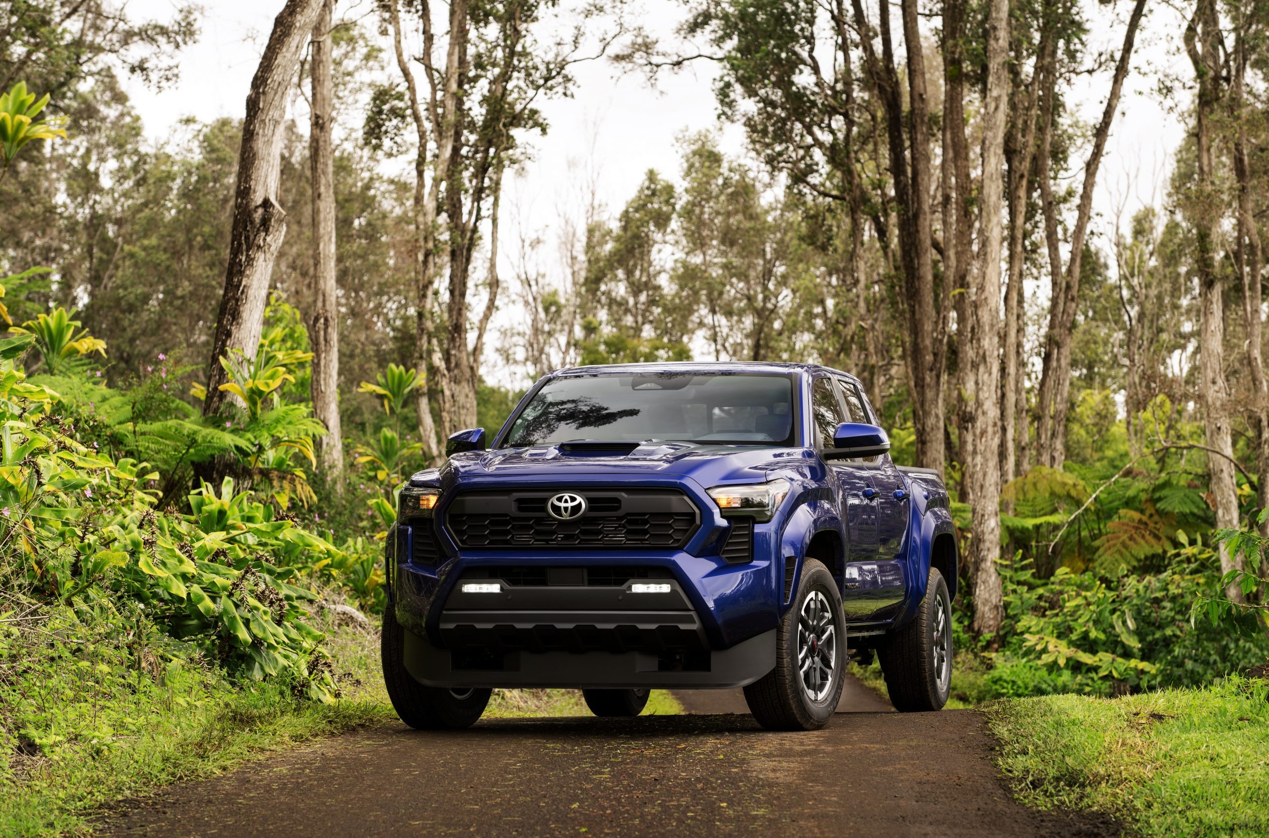 Toyota Tacoma 2024 In USA Pricing Review And Specs Discover innovation in every detail. Click now for an in-depth review.
